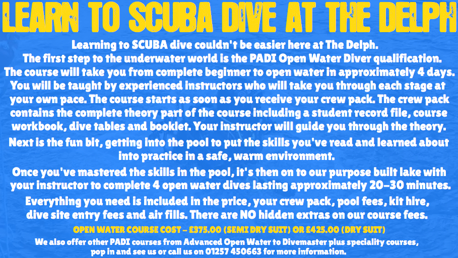 tvlearntoscubadetailsd